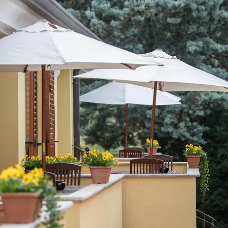 Viler Apartman Buje