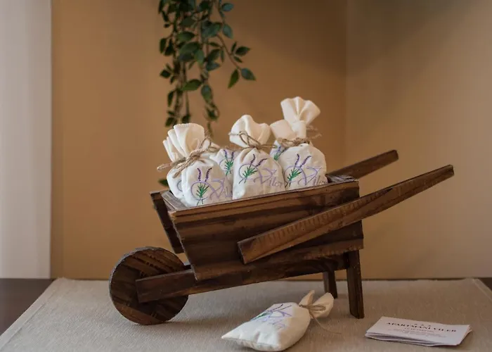 Διαμέρισμα Viler *